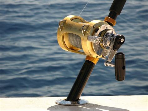 Best Saltwater Spinning Reels Deep Sea Fishing Sea Fishing Fishing