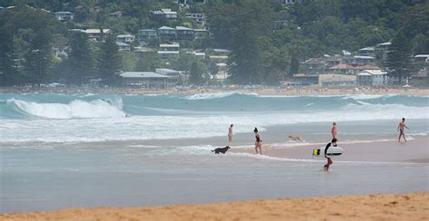 Image Avoca Beach New South Wales Facing South Towards Surf Club