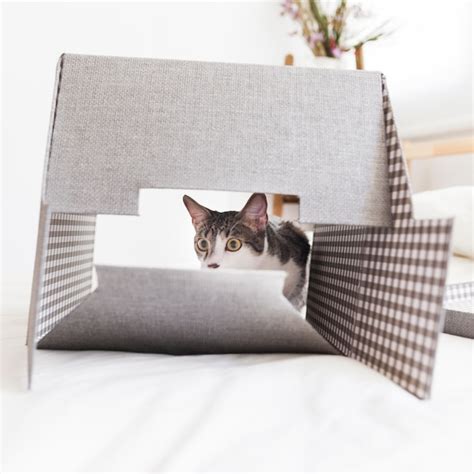 Premium Photo Funny Cat Behind Box