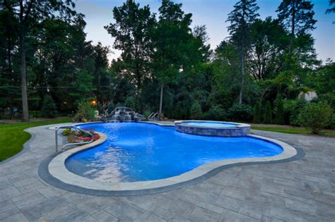 Naperville IL Freeform Swimming Pool With Raised Hot Tub Traditional