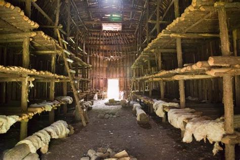 Interior Of Traditional Iroquois Longhouse Native American