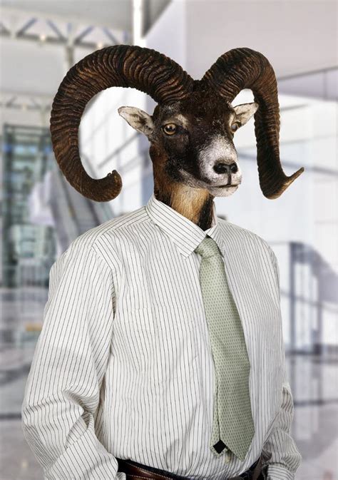 Half Man Half Goat Stock Photos Free And Royalty Free Stock Photos From