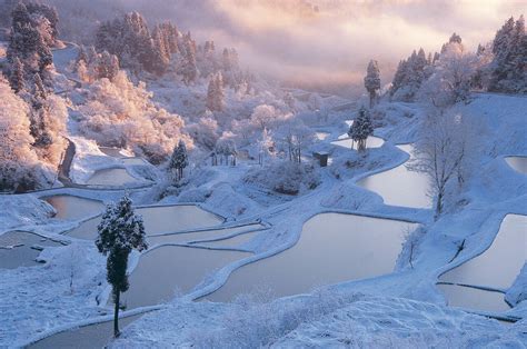 日本の冬絶景 雪国の伝統の美しさ 新潟県の雪景色 2020年1月21日 エキサイトニュース