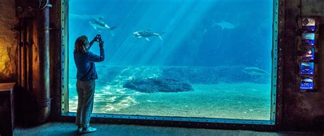 Ushaka Marine World A World Class Aquarium And Water