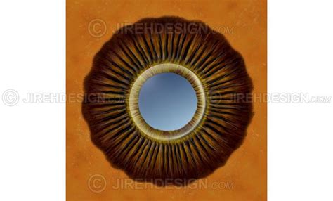 Ciliary Process Anatomy An0045 Stock Eye Images