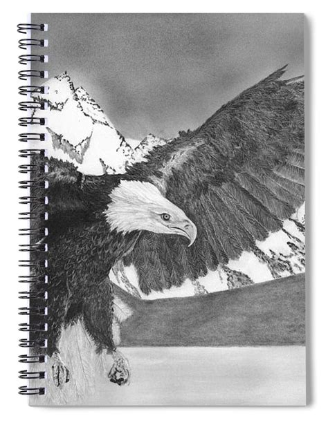 Bald Eagle Soaring Drawing Spiral Notebook For Sale By James Schultz