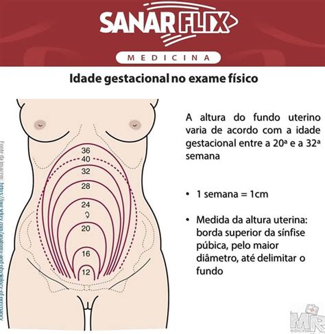 Altura Do Fundo Uterino