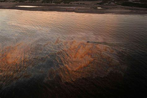What S Going On Bp Leak Is World S Largest Accidental Oil Spill