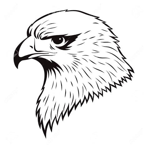 Eagle Drawing Images At Getdrawings Free Download