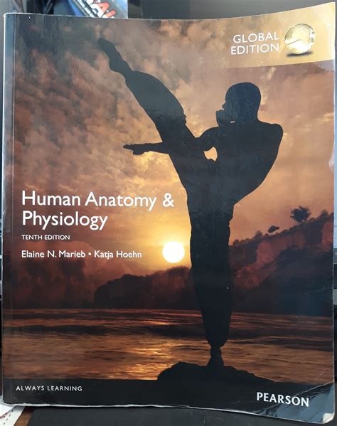 Human Anatomy Physiology 2016 By Elaine N Marieb And Katja Hoehn