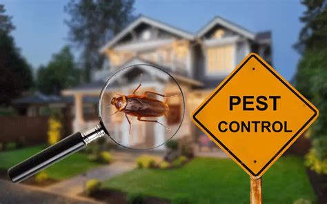 Commercial And Residential Pest Control Services The Differences And