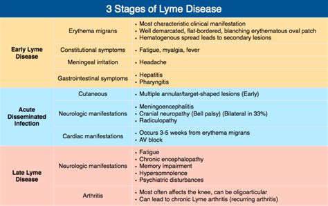 3 Stages Of Lyme Disease Early Lyme Disease Grepmed