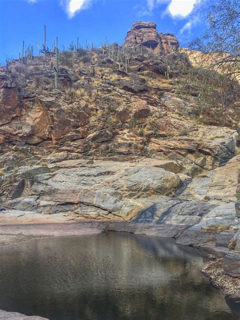 Best Hikes In Tucson Sabino Canyon Campfires And Concierges