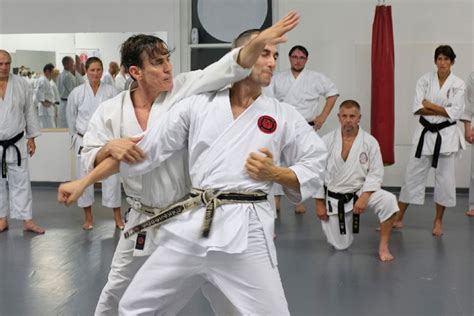 Popular Benefits Of Learning Shotokan Karate Femex Karate Martial