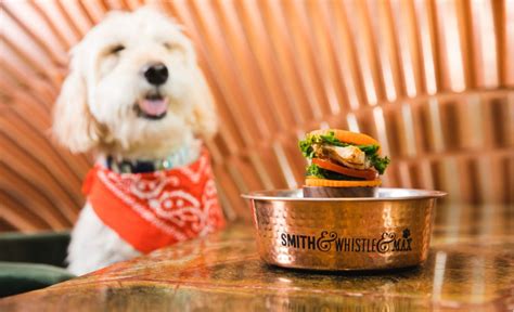 Dining With Your Dog Is Easier Than Ever In London As Dog Friendly