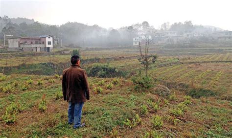 Hu Jihua Head Of Lequn Village Surveys The Land Worked By Members Of