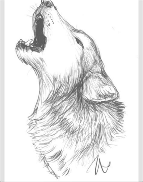 Wolf Howling Wolf Sketch Wolf Art Art Inspiration