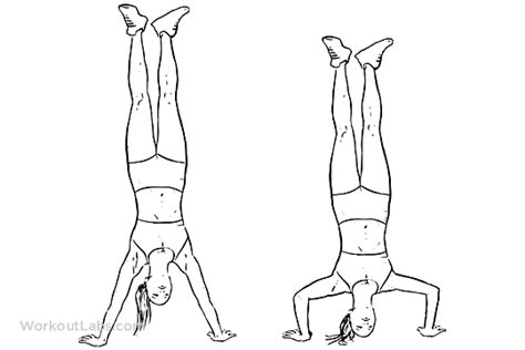 Handstand Push Up Illustrated Exercise Guide Workoutlabs