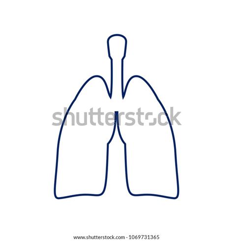 Human Anatomy Lungs Sign Vector Flat Stock Vector Royalty Free