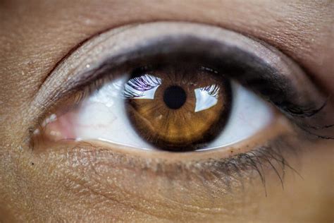 Tipos De Olhos Castanhos Origem Fatos E Curiosidades Sobre A Cor