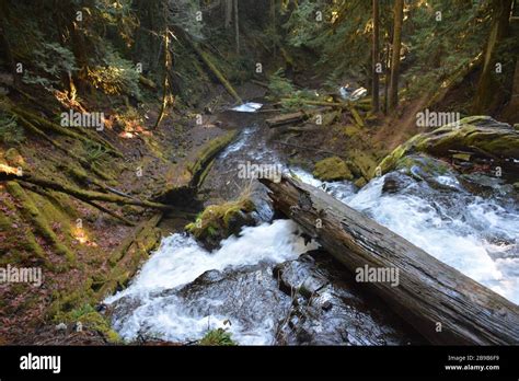 Panther Creek Falls Ford Pinchot National Forest Washington State