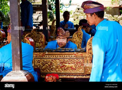 Musicians Of A Traditional Balinese Gamelan Ensemble Preparing For A