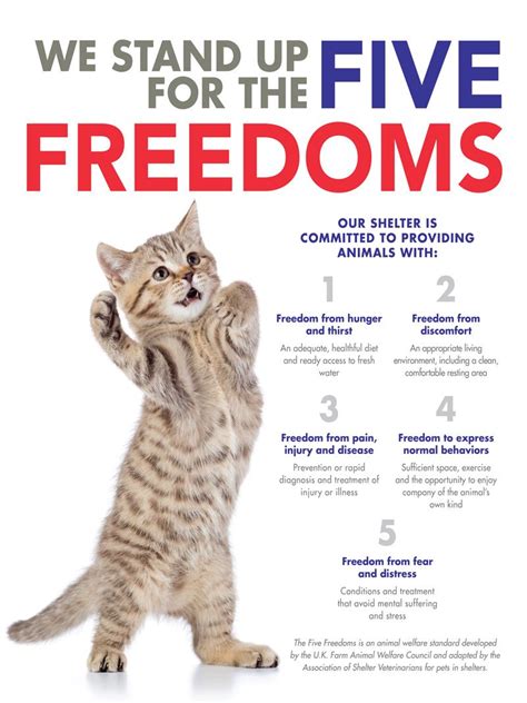 We Stand Up For The Five Freedoms Humanepro By The Humane Society Of