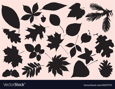 Fall Leaves Silhouette Black And White 10 Free Hq Online