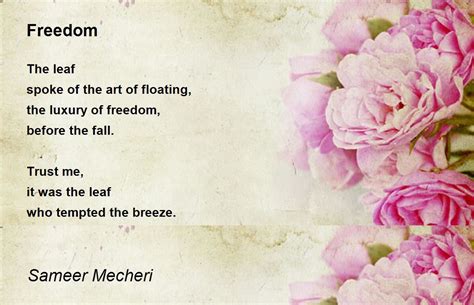 Freedom By Sameer Mecheri Freedom Poem