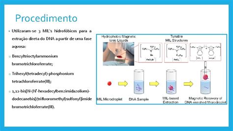 Mestrado Integrado Em Cincias Farmacuticas Ano Biotecnologia