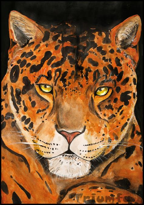 African Leopard By Triumfa On Deviantart