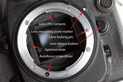 Lens Mounts And Interchangeable Lenses Discover Digital Photography