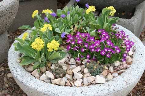 Containers Can Be Used To Create Small Rock Gardens Rock Garden