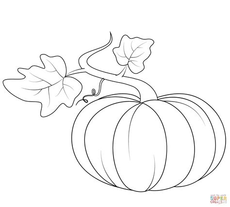 You can print them as many as you like. Pumpkin with Leaves coloring page | Free Printable ...