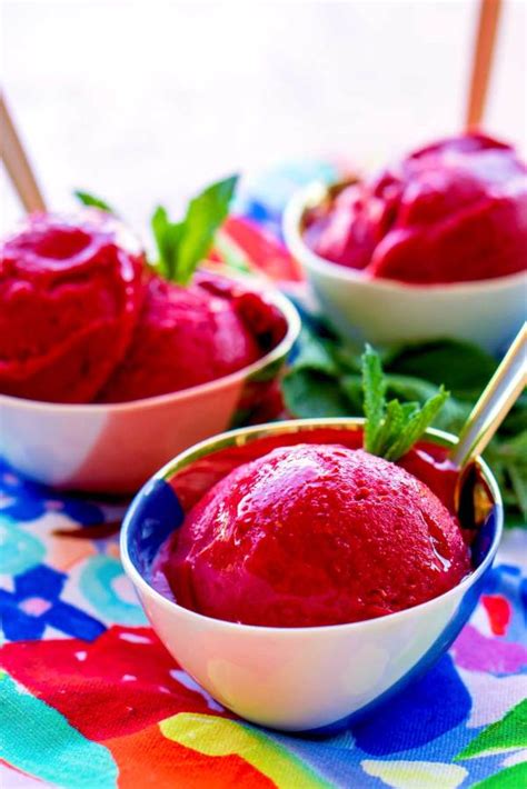 Raspberry Sorbet • Food Folks And Fun