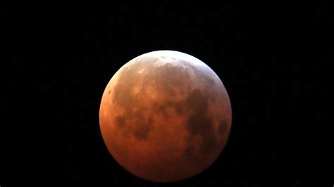 Rare Super Blood Wolf Moon Makes Early Morning Appearance Science