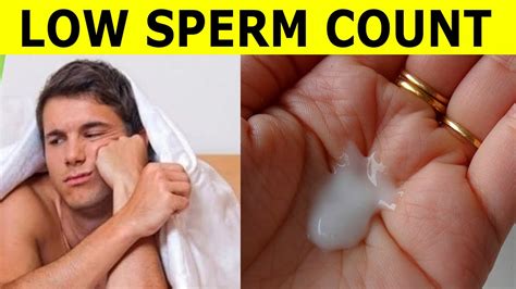 Low Sperm Count Causes Signs And Symptoms Prevention YouTube