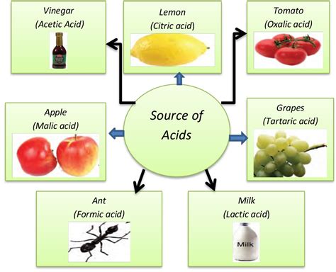 Lesson Plan Of Properties And Uses Of Acids Acids Alkalies And Salts