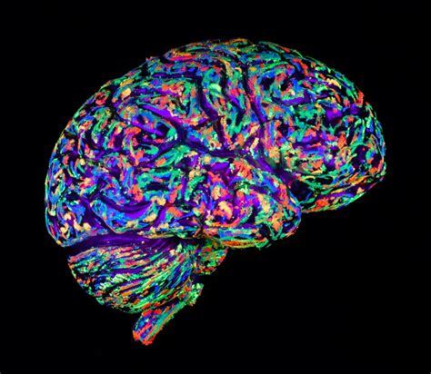 Researchers Can Remotely Control Brain Circuits With Infrared Light