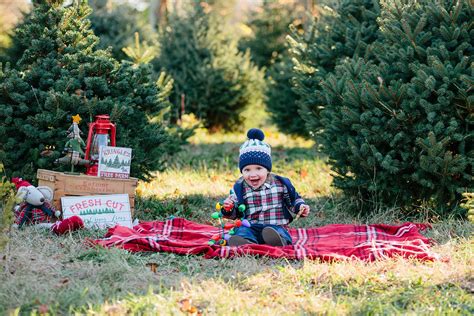 Cool Simple Outdoor Christmas Mini Sessions 2022