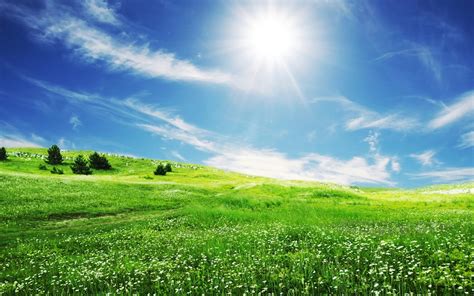 Beautiful Hd Wallpapers Amazing Spring Bliss Desktop