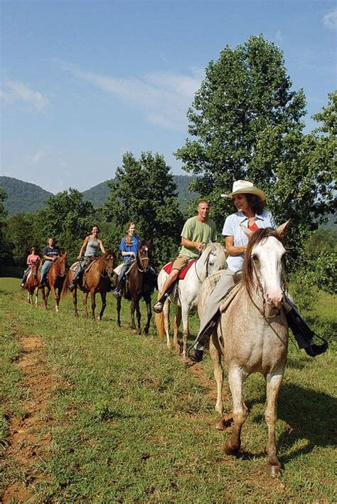11 Of The Best Smoky Mountain Horseback Riding Gatlinburg Pigeon Forge