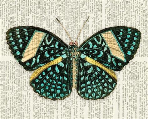 Butterfly Print Vintage Aqua Blue Spotted Butterfly By Fauxkiss