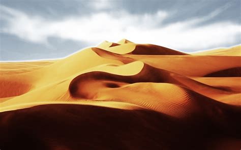 Golden Desert Attractive Scenery Wallpaper Preview