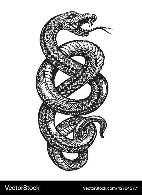 Coiled Snake Sketch Hand Drawn Vintage Royalty Free Vector