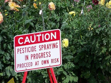 Neonicotinoid Pesticides May Damage Human Nervous System Blue And