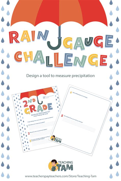 Rain Gauge Worksheet