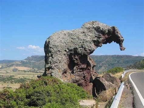 11 Incredible Rocks That Look Like Animals Elephant Rock Amazing