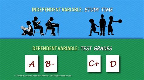 Independent Variable Vs Dependent Variable Youtube