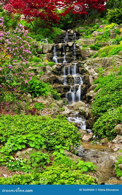 Cascading Waterfall Stock Photo Image Of Plants Falling 5649684